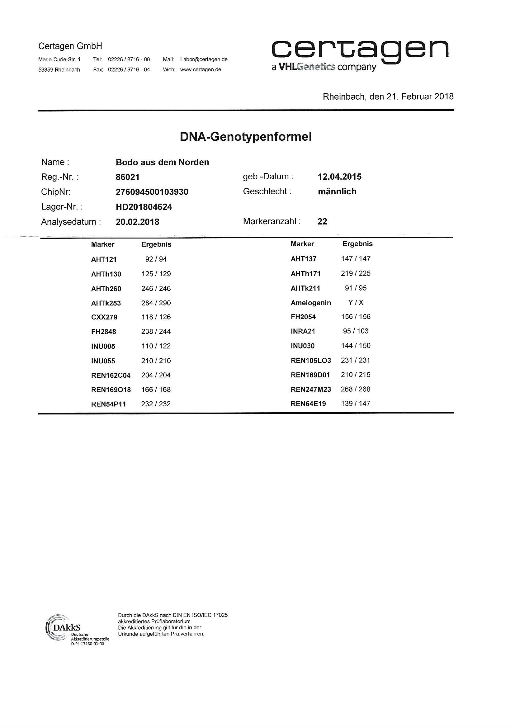 Untersuchungsbefund 3